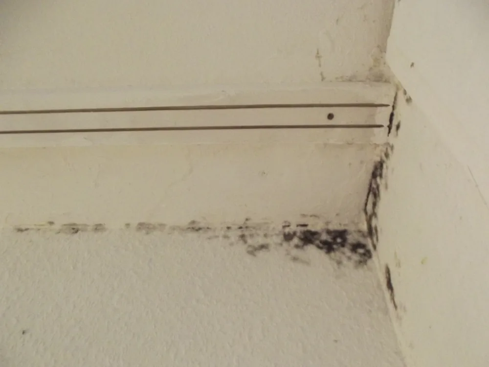 Technician in protective gear removing a mold-damaged wall in an Oliver Springs home